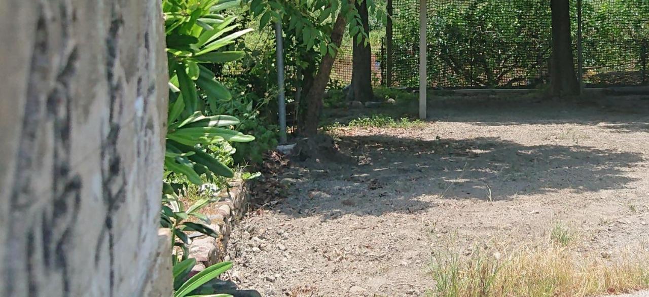 松舍民宿 冬山郷 エクステリア 写真